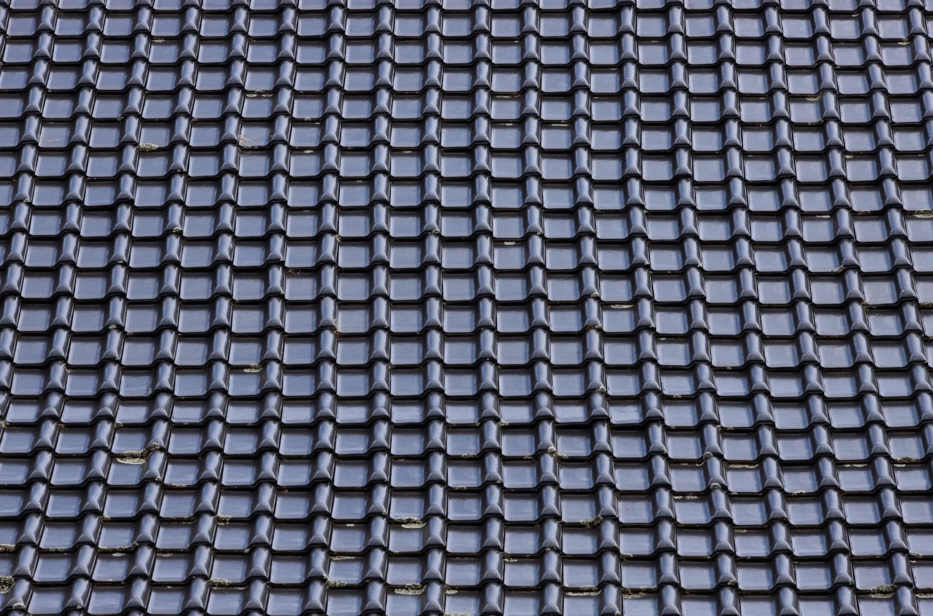 Detailed Roof Maintenance